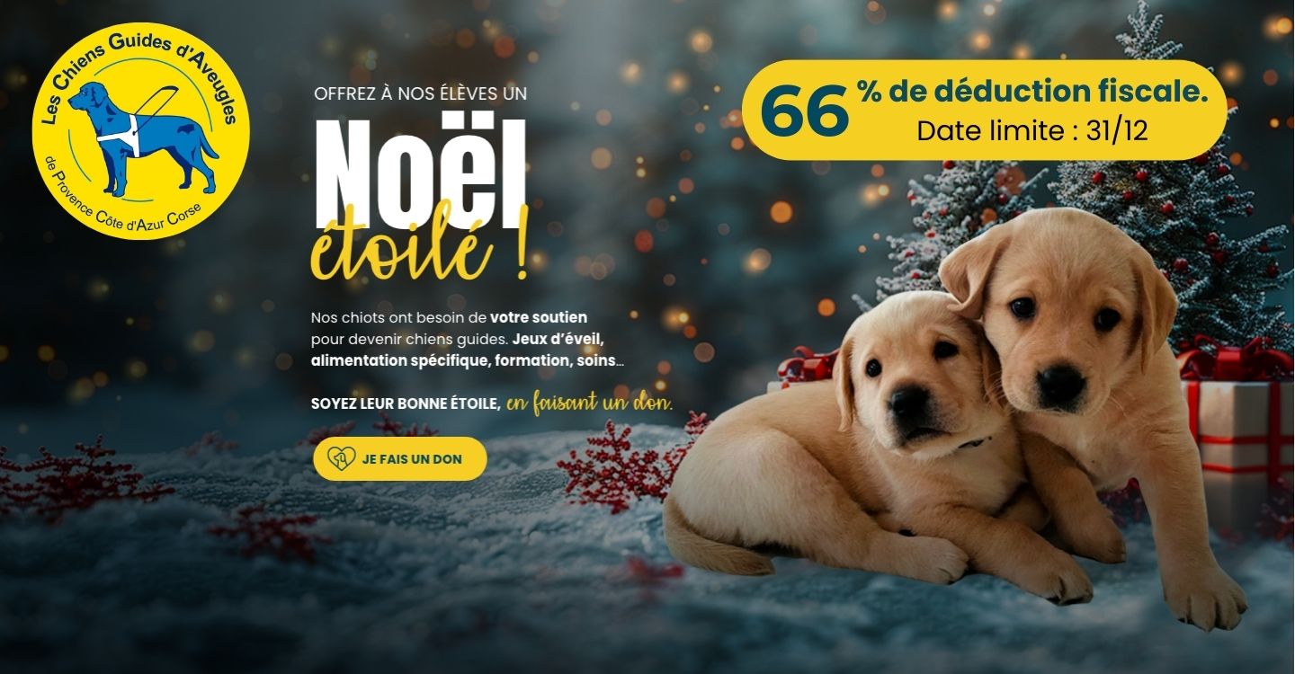 offrez un noël étoilé à nos chiens guides