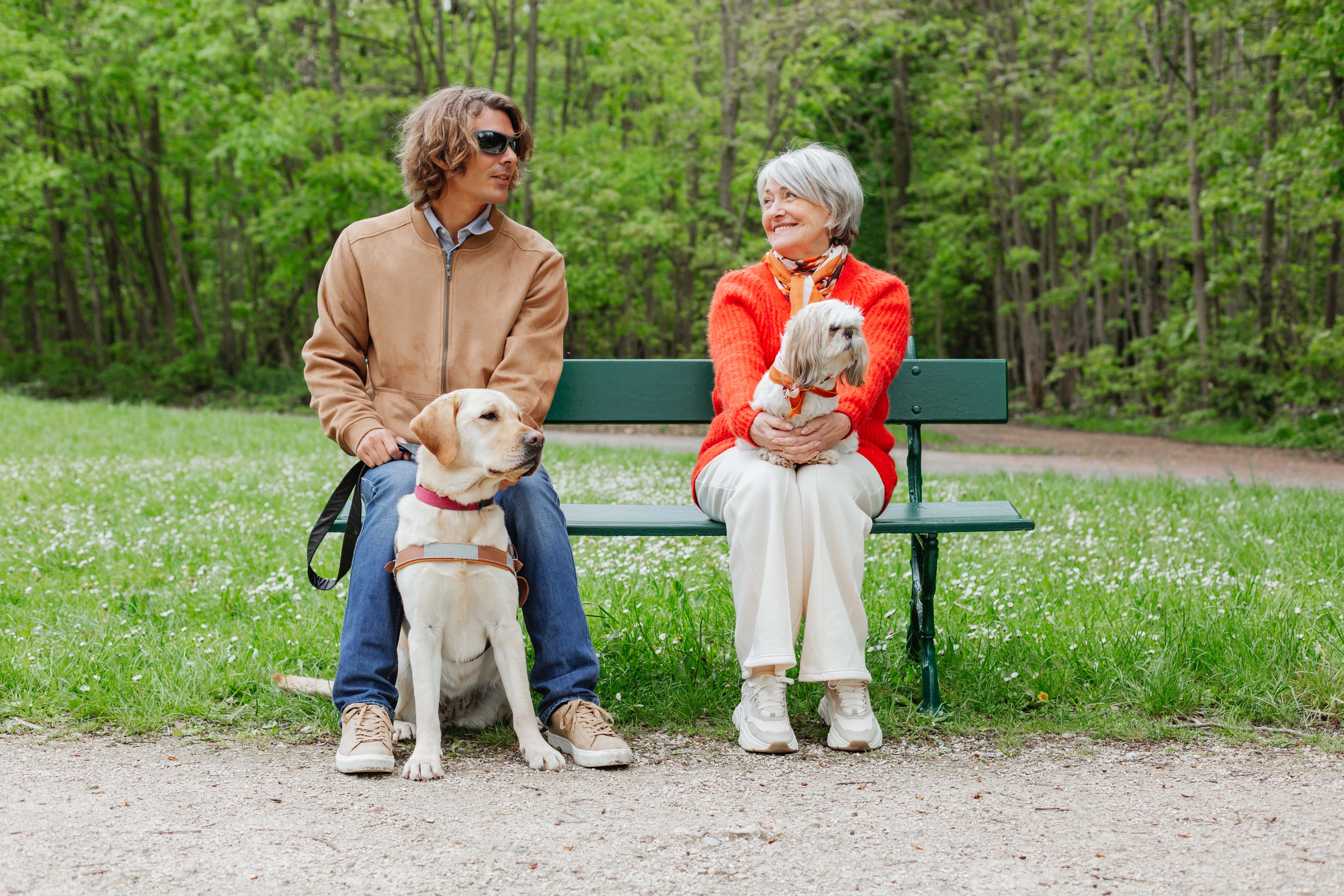Un homme malvoyant et son chien guide discute avec une dame et son caniche sur un banc