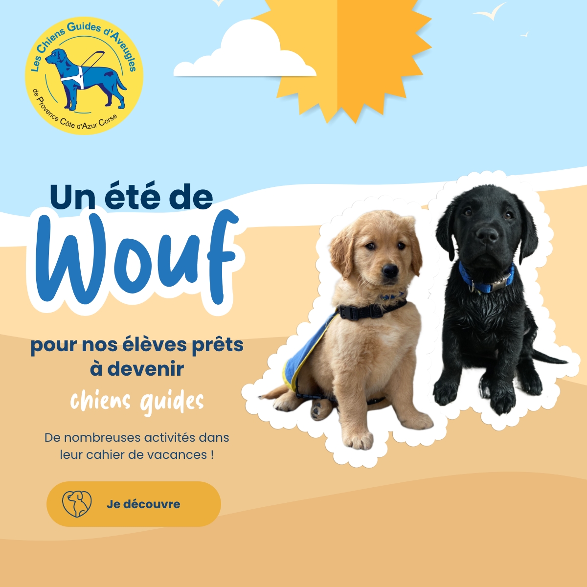 Cahier de vacances des chiens guides