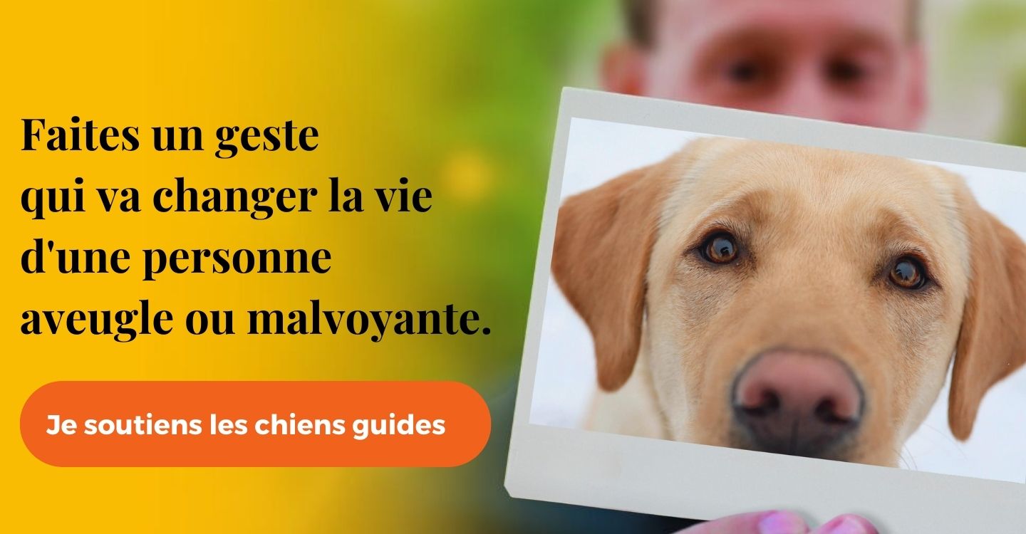 je soutiens les chiens guides