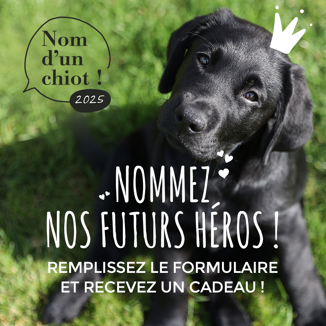 nom d'un chiot 2025