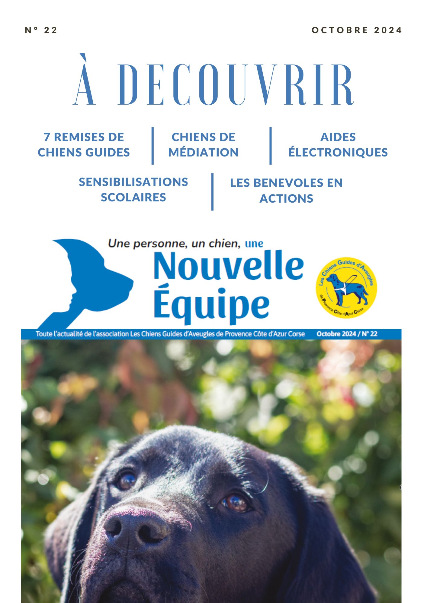 la nouvelle équipe