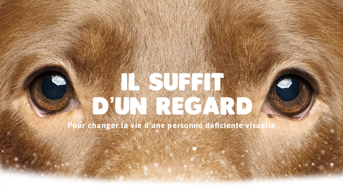Visuel non disponible